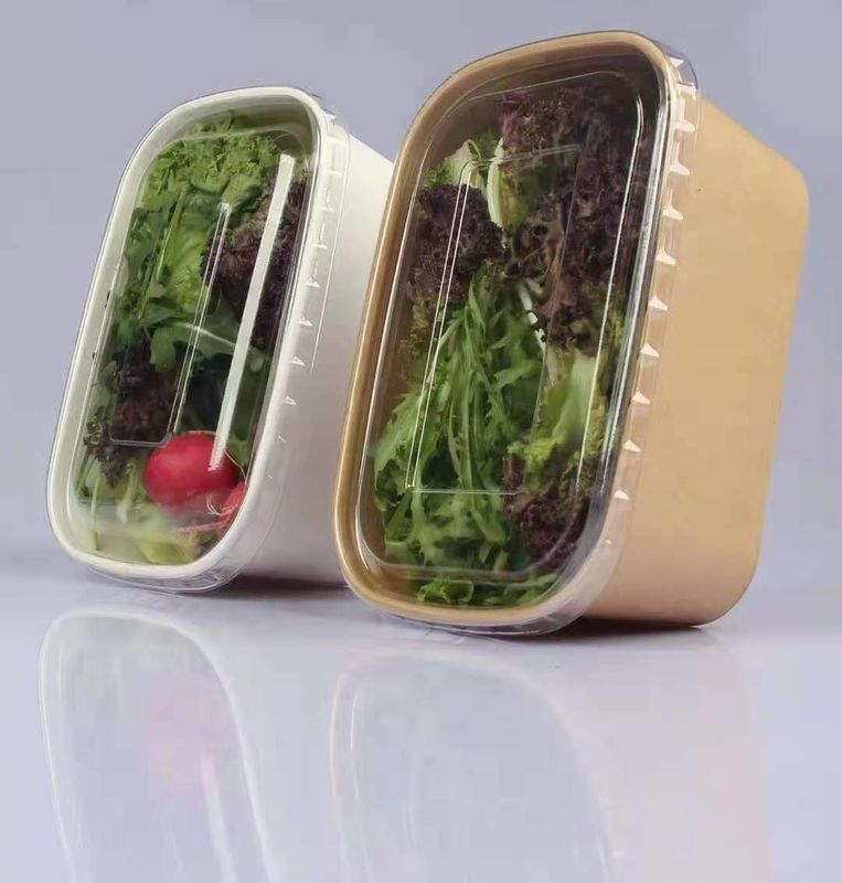 جعبه SGS کاغذ Take Away Biodegradable یکبار مصرف